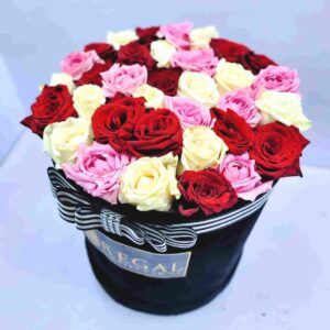 Bellissimo Box Arrangement